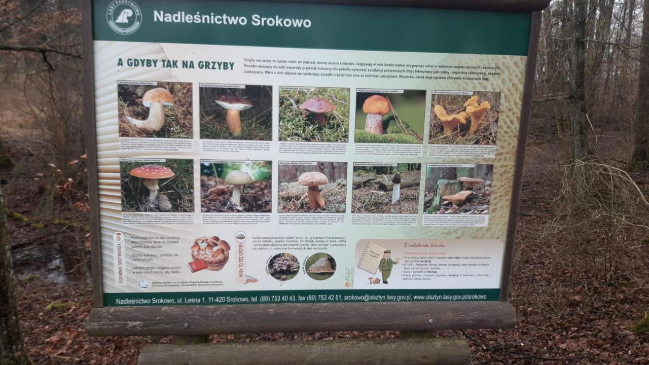 Zacisze Pod Brzozami Villa Kętrzyn Exterior foto